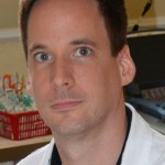 dr-merth